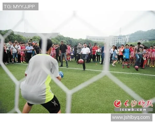 2025年全球足球球星数量统计及热门球员动态分析 2025年全球足球球星数量统计及热门球员动态分析