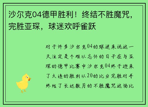 沙尔克04德甲胜利！终结不胜魔咒，完胜亚琛，球迷欢呼雀跃